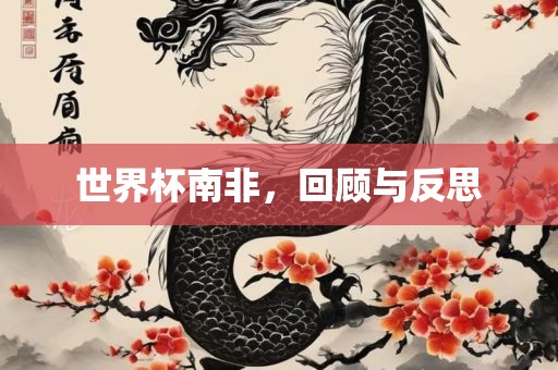 世界杯南非，回顾与反思吉安市靖泰电力工程有限公司
