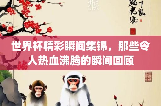 世界杯精彩瞬间集锦，那些令人热血沸腾的瞬间回顾