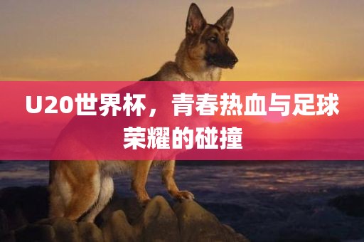 U20世界杯，青春热血与足球荣耀的碰撞