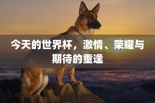 今天的世界杯，激情、荣耀与期待的重逢