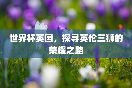 世界杯吉安市靖泰电力工程有限公司英国，探寻英伦三狮的荣耀之路