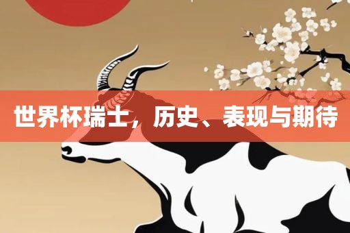 世界杯瑞士吉安市靖泰电力工程有限公司，历史、表现与期待