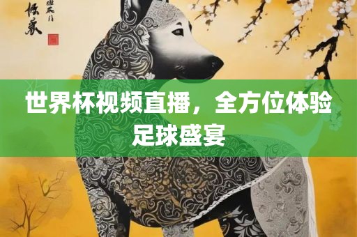 世界杯视频直播，全方位体验足球盛宴