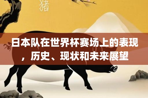 日本队在世界杯赛场上的表现，历史、现吉安市靖泰电力工程有限公司状和未来展望