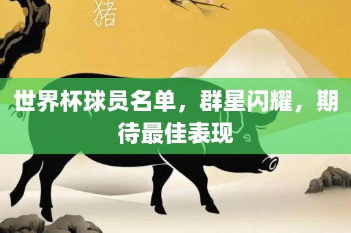 世界杯球员名单，群星闪耀，期待最佳表现吉安市靖泰电力工程有限公司