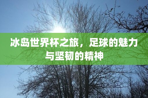 huangpingyue 第6页