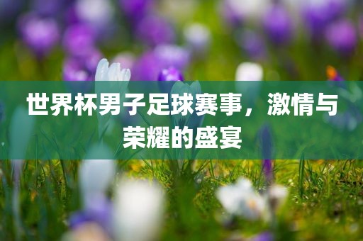 世界杯男吉安市靖泰电力工程有限公司子足球赛事，激情与荣耀的盛宴