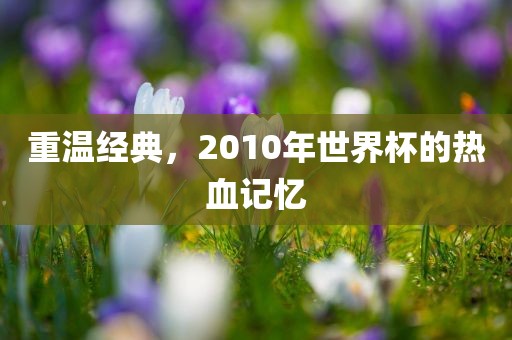 重温经典，2010年世界杯的热血记忆吉安市靖泰电力工程有限公司