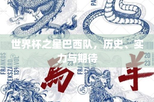 世界杯之星巴西队吉安市靖泰电力工程有限公司，历史、实力与期待