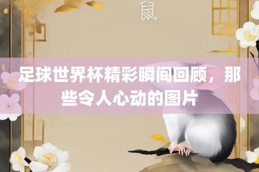 足球世界杯精彩瞬间回顾，那些令人心动的图片吉安市靖泰电力工程有限公司