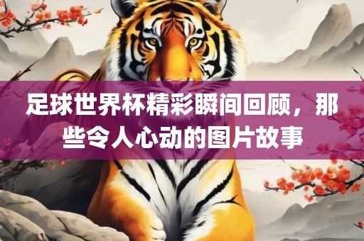 足球世界杯精彩瞬间回顾，吉安市靖泰电力工程有限公司那些令人心动的图片故事