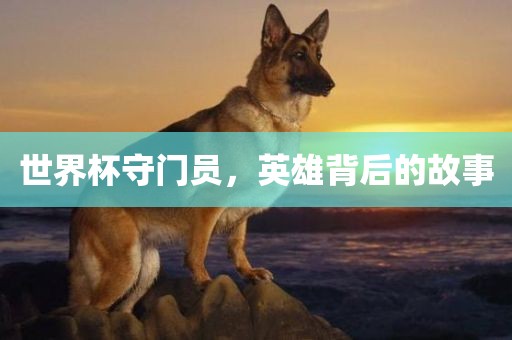 世界杯守门员，英雄背后的故事