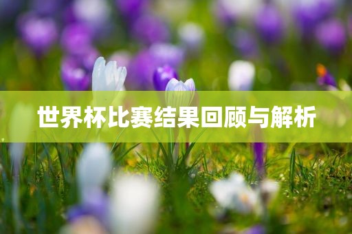 世界杯比赛结果回顾与解析吉安市靖泰电力工程有限公司