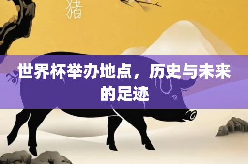 世界杯举办地点，历史与未来的足迹