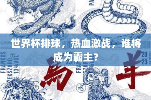 世界杯排球，热血激战，谁将成为霸主？