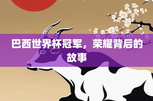 巴西世界杯冠军，荣耀背后的故事