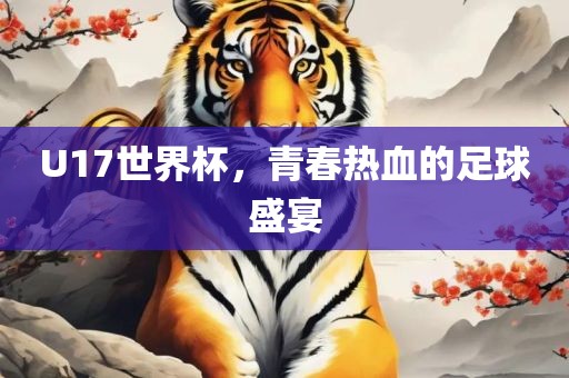 U17世界杯，青春热血的足球盛宴