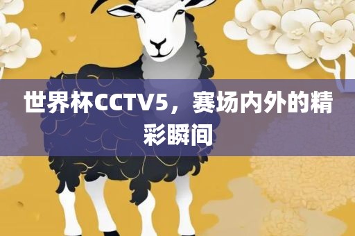 世界杯CCTV5，赛场内外的精彩瞬间吉安市靖泰电力工程有限公司