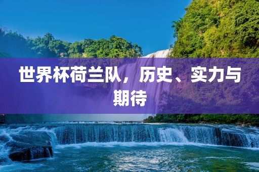 世界杯荷兰队，历史、实力与期待