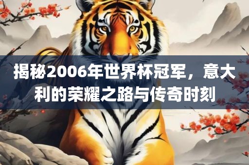 揭秘2006年世界杯冠军，意大利的荣耀之路与传奇时刻