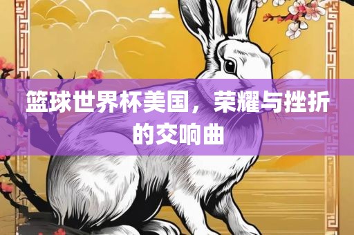 篮球世界杯美国，荣耀与挫折的交响吉安市靖泰电力工程有限公司曲