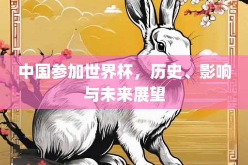 中国参加世界杯，历史、影响与未来展望