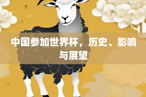 中国参加世界杯，历史、影响与展望