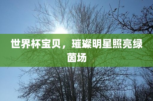 世界杯宝贝，璀璨吉安市靖泰电力工程有限公司明星照亮绿茵场