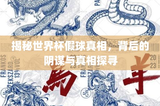 揭秘世界杯假球真相，背后的阴谋与真相探寻