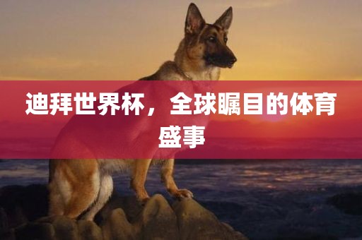 迪拜世界杯，全球瞩目的体育盛事