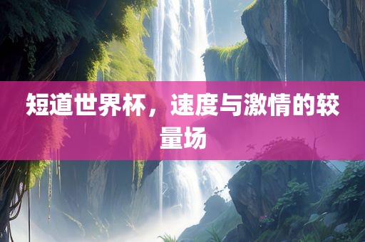 短道世界杯，速度与激情的较量场