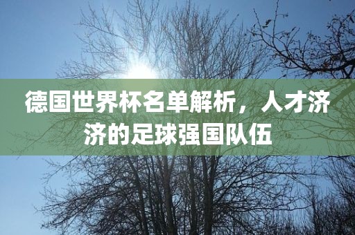 德国世界杯名单解析，人才济济的足球强国队伍