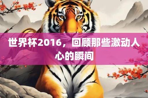 世界杯2016，回顾那些激动人心的瞬间