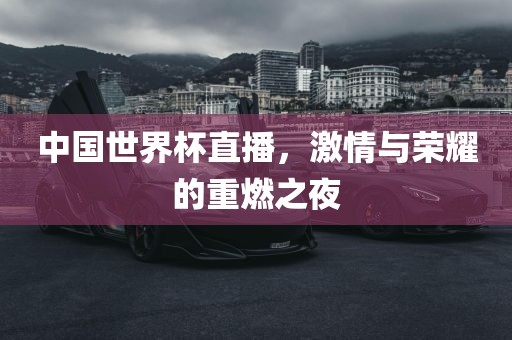 中国世界杯直播，激情与荣耀的重燃之夜吉安市靖泰电力工程有限公司
