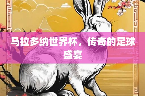 马拉多纳世界杯，传奇的足球盛宴吉安市靖泰电力工程有限公司