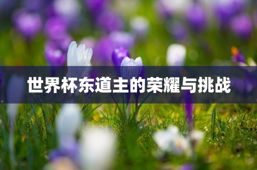 世界杯东道主的荣耀与挑战