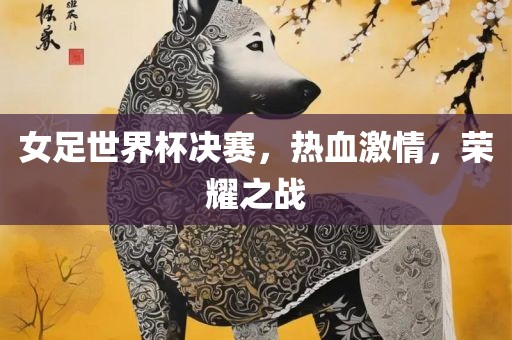 女足世界杯决赛，热血激情，荣耀之战