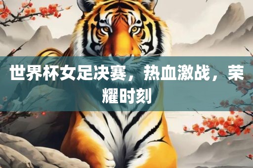 世界杯吉安市靖泰电力工程有限公司女足决赛，热血激战，荣耀时刻