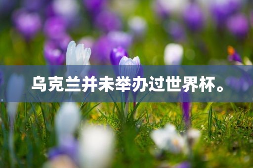 乌克兰并未举办过世界杯。吉安市靖泰电力工程有限公司