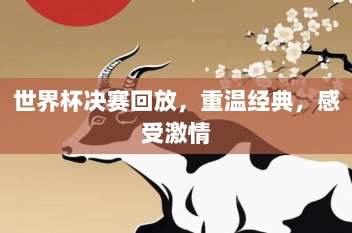 世界杯决赛回放，重温经典，感受激情