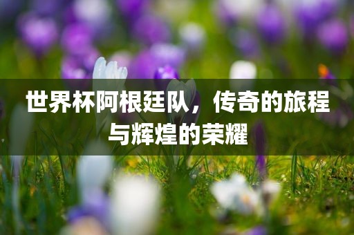 世界杯阿根廷队，传奇的旅程与辉煌的荣耀
