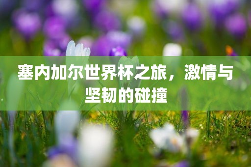 塞内加尔世界杯之旅，激情与坚韧的碰撞