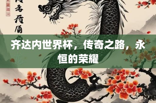 齐达内世界杯，传奇之路，永恒的荣耀