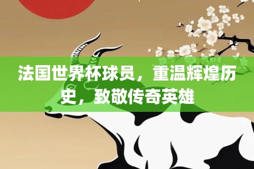 法国世界杯球员，重温辉煌历史，致敬传奇英雄