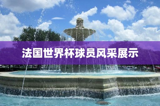 法国世界杯球员风采展示