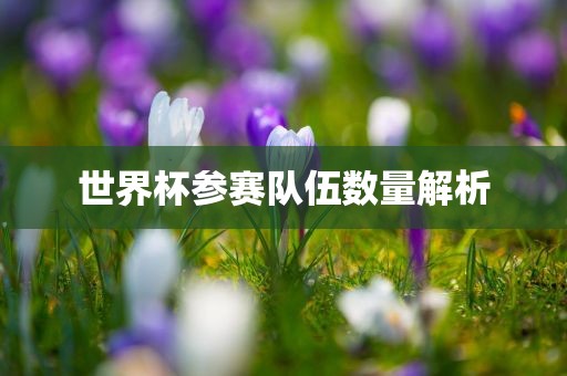 世界杯参赛队伍数量解析