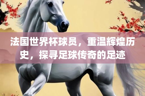 法国世界杯球员，重温辉煌历史，探寻足球传奇的足迹
