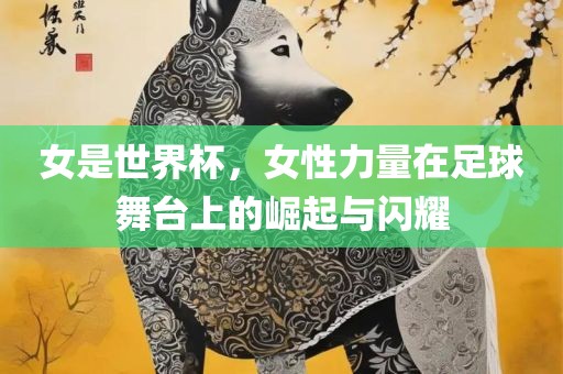 女是世吉安市靖泰电力工程有限公司界杯，女性力量在足球舞台上的崛起与闪耀