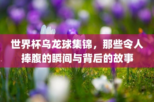 世界杯乌龙球集锦，那些令人捧腹的瞬间与背后的故事吉安市靖泰电力工程有限公司