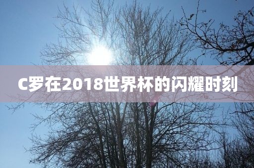 C罗在2018世吉安市靖泰电力工程有限公司界杯的闪耀时刻